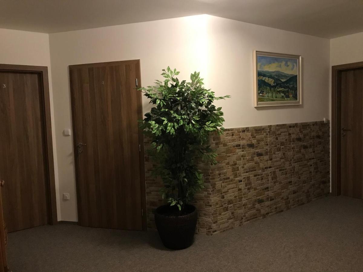 Hotel Na Planyrce Paseky nad Jizerou Esterno foto
