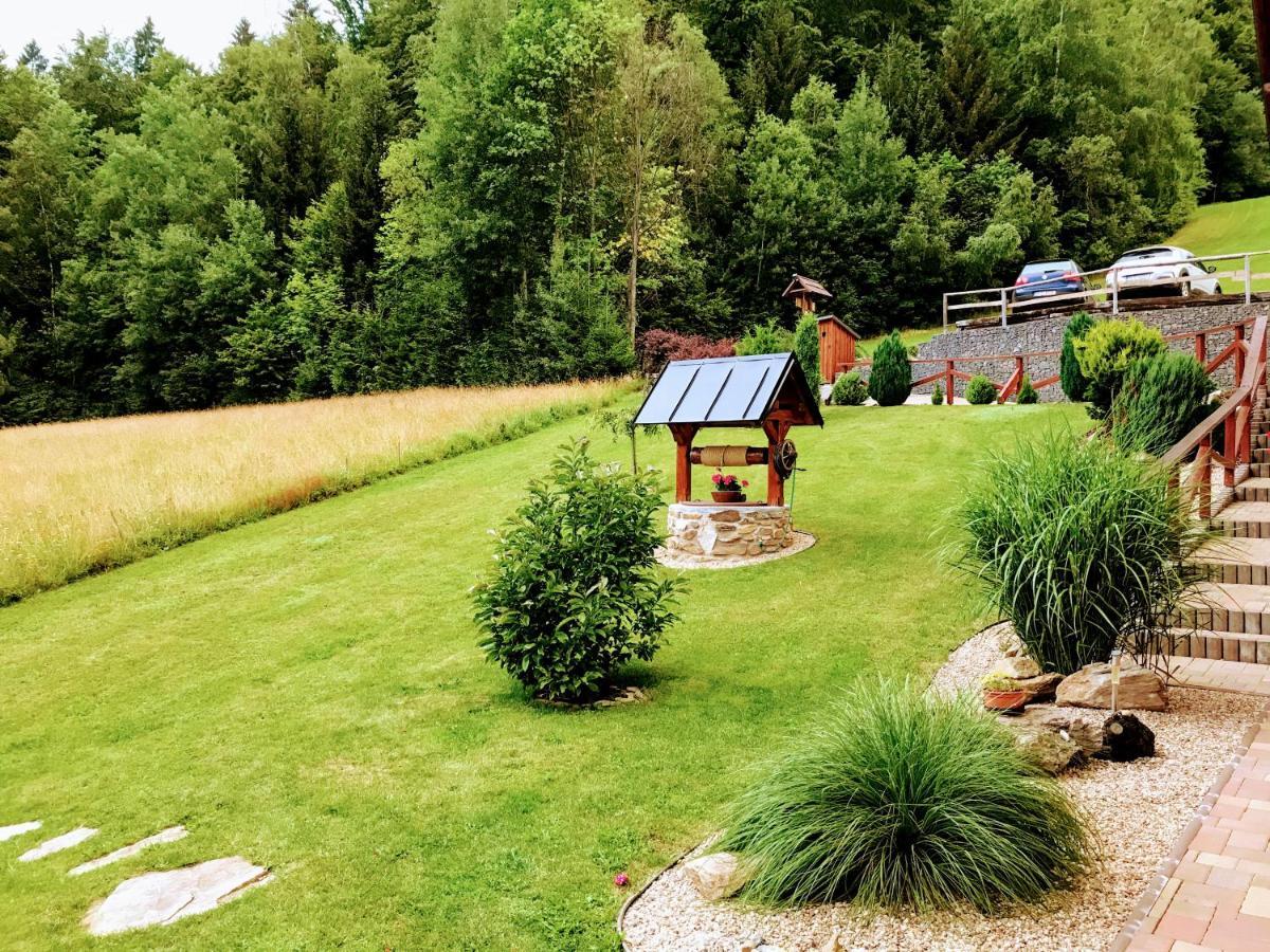 Hotel Na Planyrce Paseky nad Jizerou Esterno foto