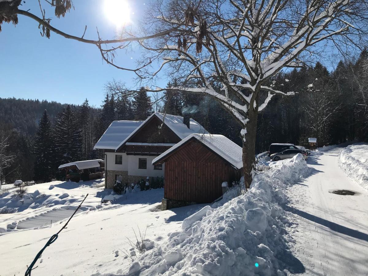 Hotel Na Planyrce Paseky nad Jizerou Esterno foto
