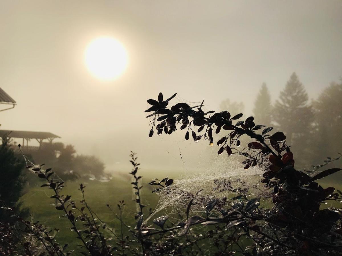 Hotel Na Planyrce Paseky nad Jizerou Esterno foto