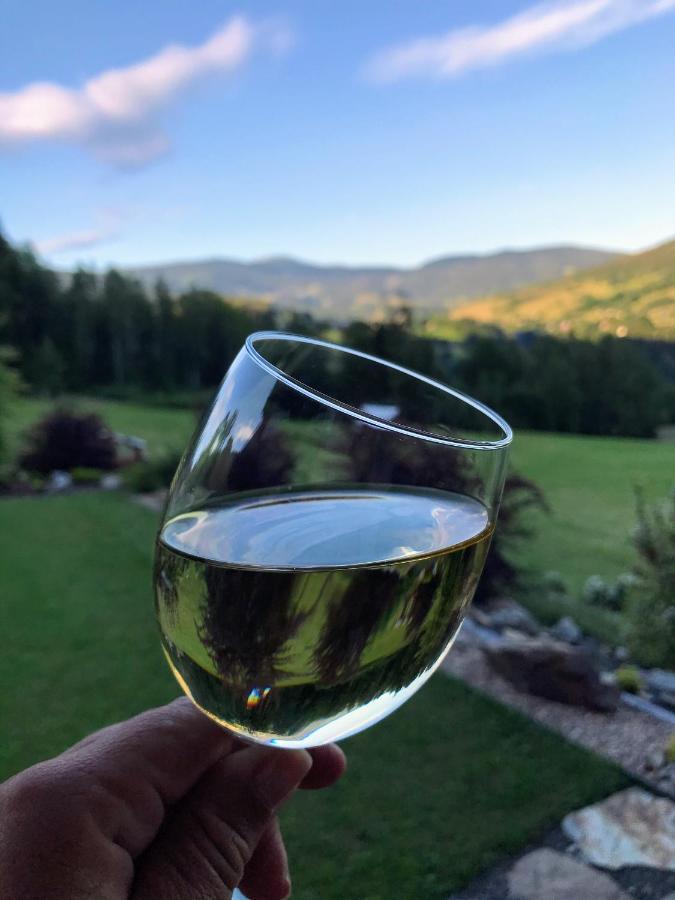 Hotel Na Planyrce Paseky nad Jizerou Esterno foto