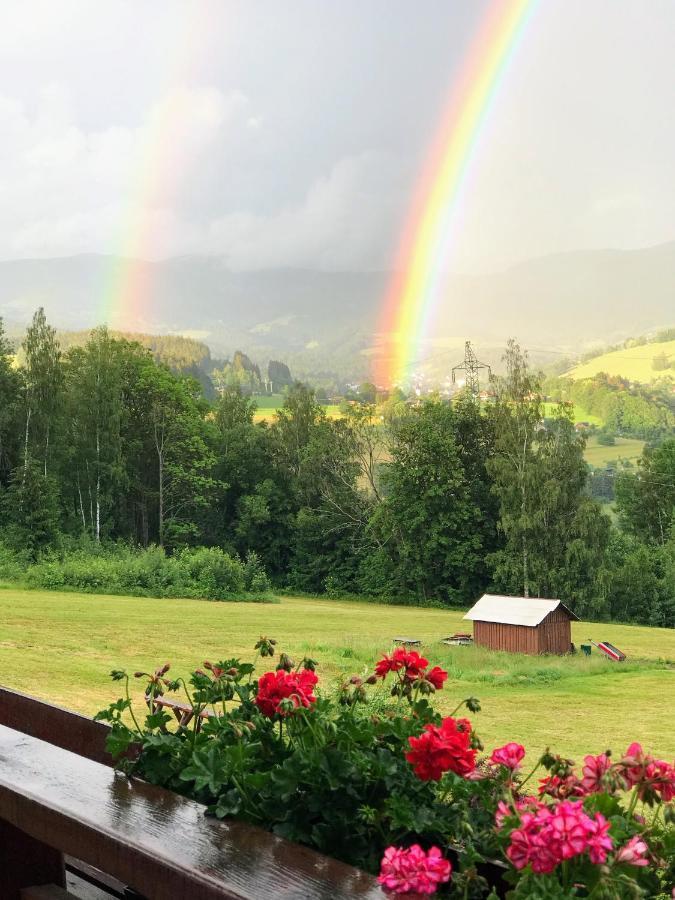 Hotel Na Planyrce Paseky nad Jizerou Esterno foto
